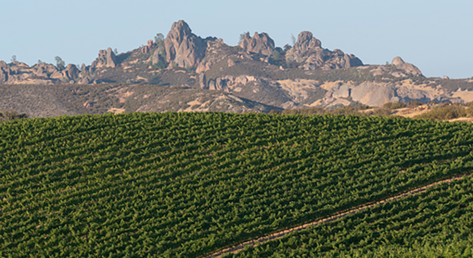 An arial view of Chalone Pinnacle vineyards